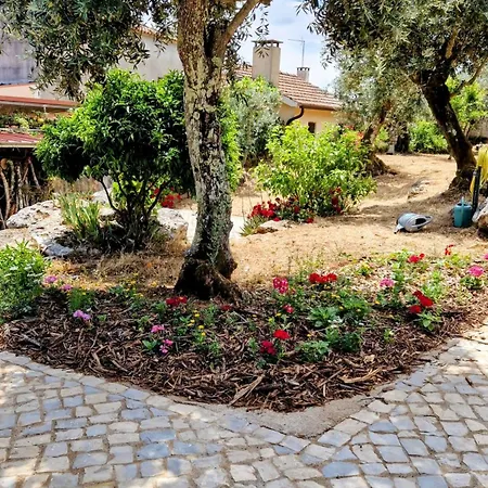Semesterbostad Casa De Amigos