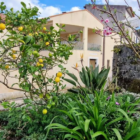 別荘 Casa De Amigos アンシアン