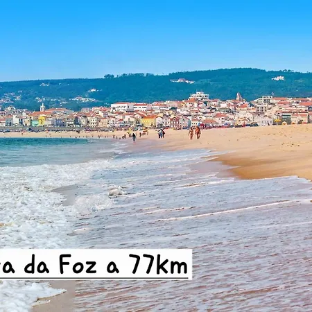 Casa De Amigos アンシアン