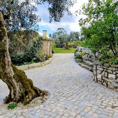 Casa De Amigos Semesterbostad Ancião