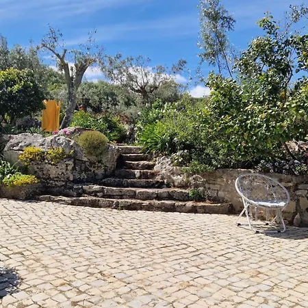 Casa De Amigos *