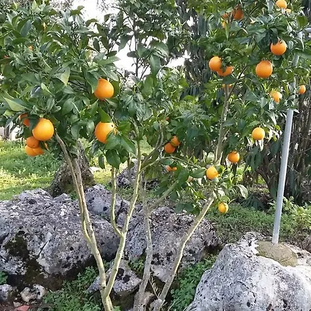 Casa De Amigos Feriehus