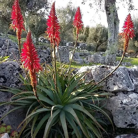 Casa De Amigos Feriehus *