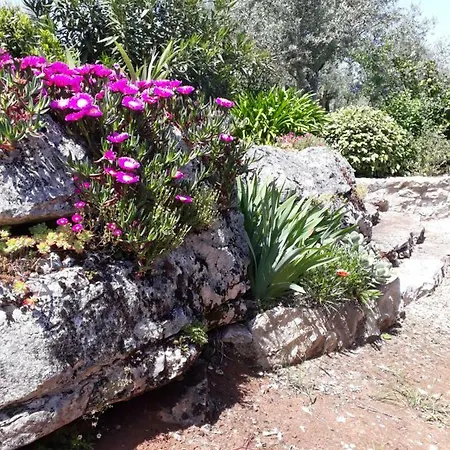 Casa De Amigos Dom wakacyjny *