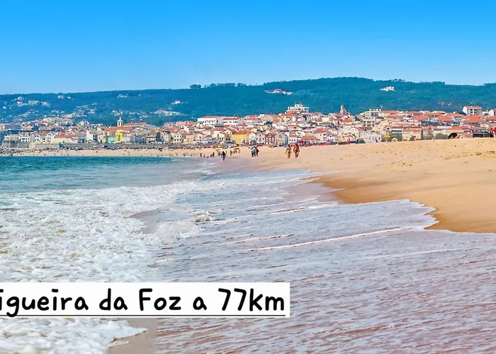 Casa De Amigos アンシアン