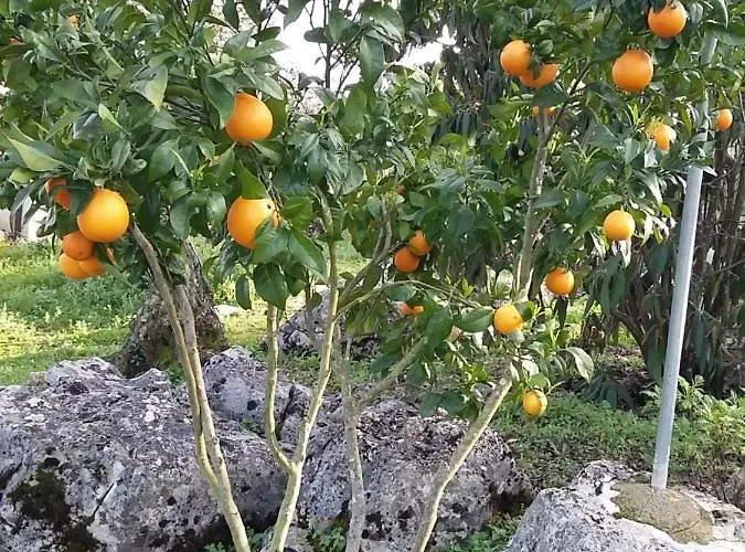 Casa De Amigos Casa vacanze