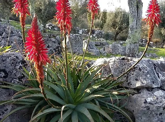 Casa De Amigos Casa vacanze *