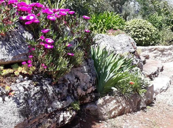 Casa De Amigos Casa vacanze *